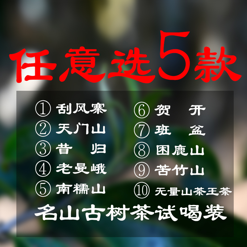 2019新茶明前茶南糯山班盆刮风寨 昔归 天门山困鹿山茶王茶试喝装