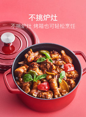 网易严选珐琅锅家用炖锅经典铸铁锅砂锅煲汤锅加厚22cm单双人汤煲