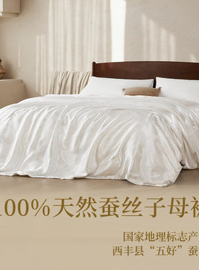 网易严选100%蚕丝被春秋被四季通用子母被加厚保暖冬被被子被