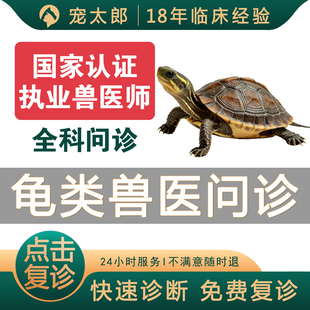 龟医生宠物医生24小时在线问诊异宠医生乌龟疾病兽医肺炎水肿腐皮