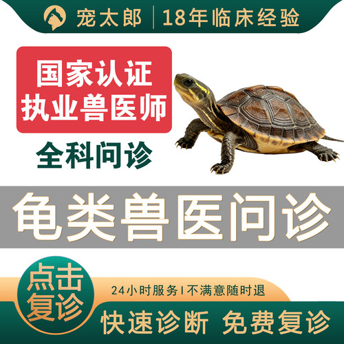龟医生宠物医生24小时在线问诊异宠医生乌龟疾病兽医肺炎水肿腐皮