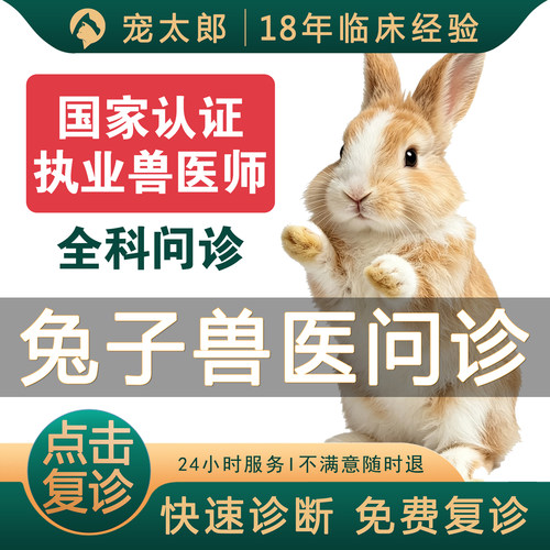 兽医问诊宠物医生24小时在线问诊兔子宠物医院专业兽医诊断兔子