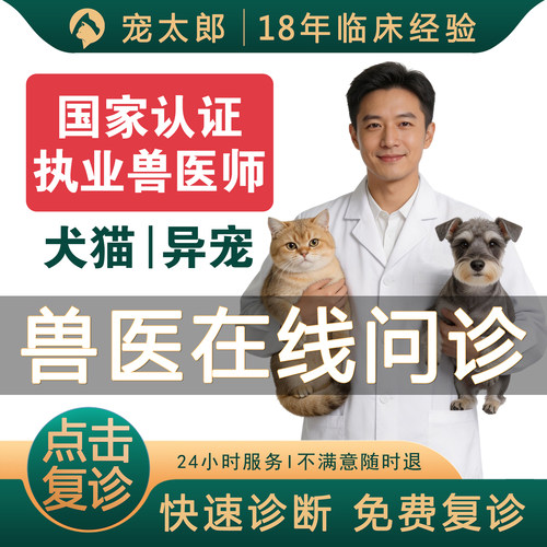 兽医问诊宠物医生在线问诊猫宠物医院专业兽医诊断狗狗24小时看病