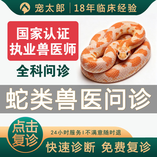 兽医问诊宠物医生在线问诊24小时蛇类问诊爬宠生病蛇问诊异宠医生