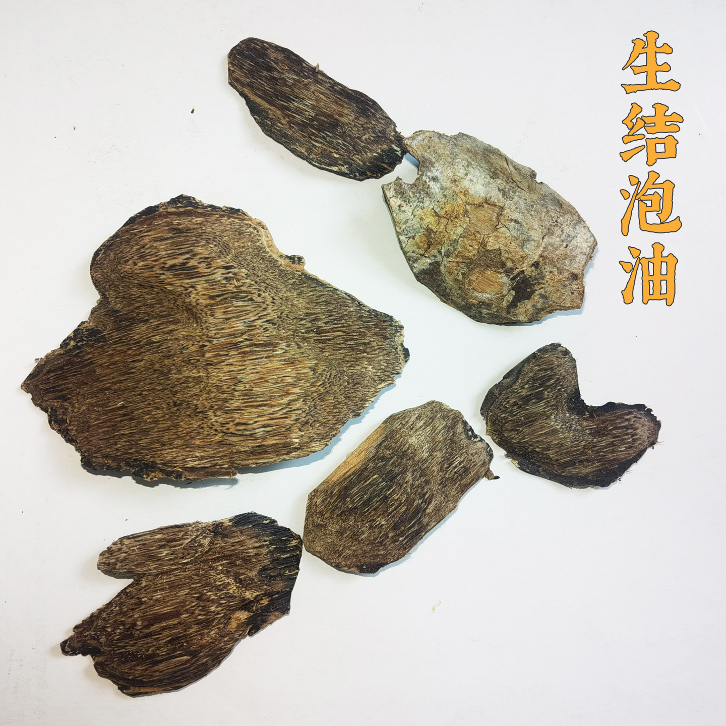海南沉香打泡油生结带树皮完整标本异香钻透高昂
