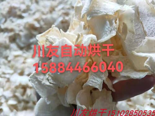 网带烘干机多层网带川友节能环保