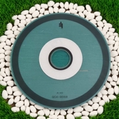 TS308光栅盘编码 适用佳能MG2580S 盘 MG3080 TS208 TS3180 TS3380