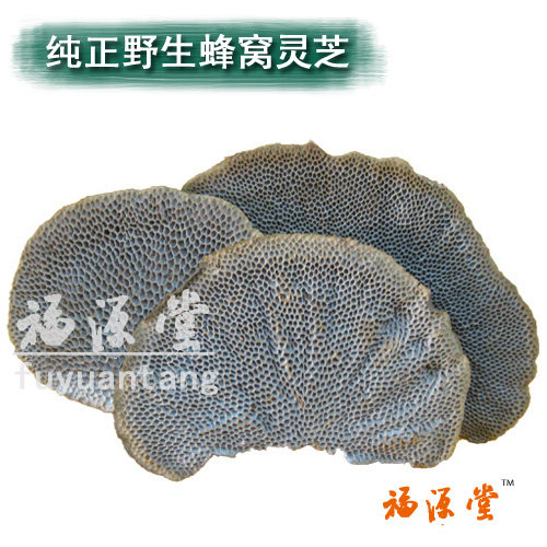 福源堂野生蜂窝灵芝云南林芝