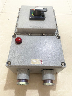 防爆断路器3P200A空开2P4P100A漏保三相380V220V开关箱防爆控制箱