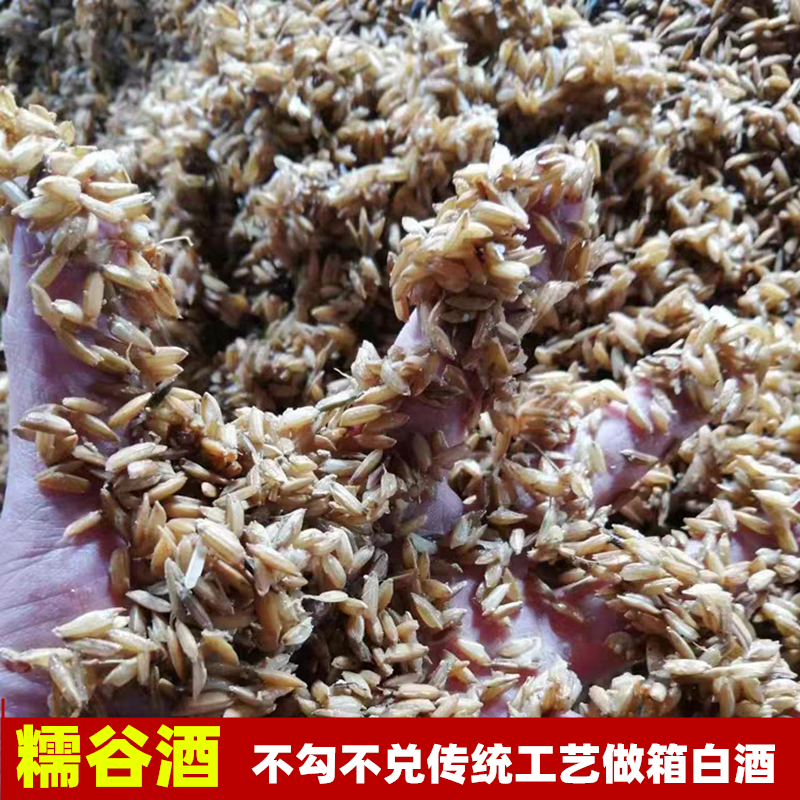 正宗糯谷酒55度纯粮食酒自酿白酒谷米酒桶装原浆酒泡药泡水果酒