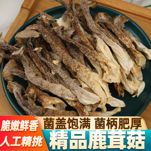 特级鹿茸菇人工精选无硫熏无添加