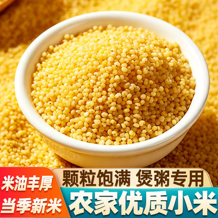 当季新粮黄小米山东油小米杂粮新米月子粥米糯小米农家实惠好黄米