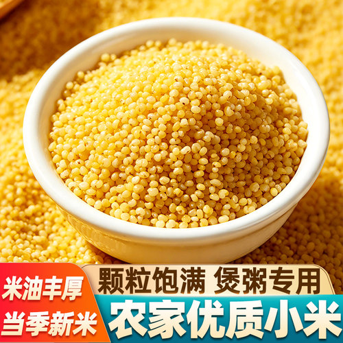 当季新粮农家黄小米实惠山东小米
