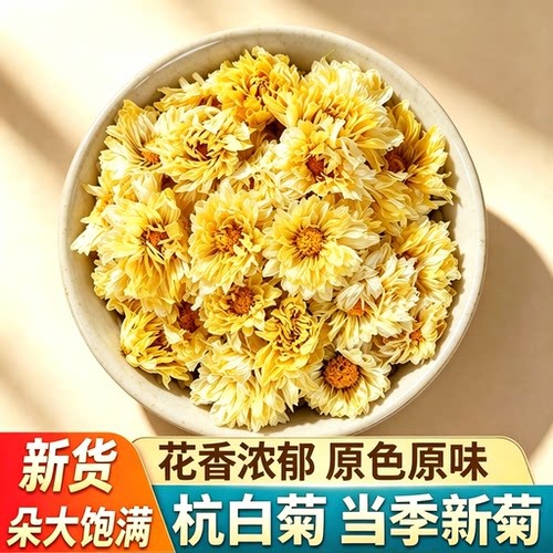 杭白菊桐乡特产无硫头茬新花泡茶