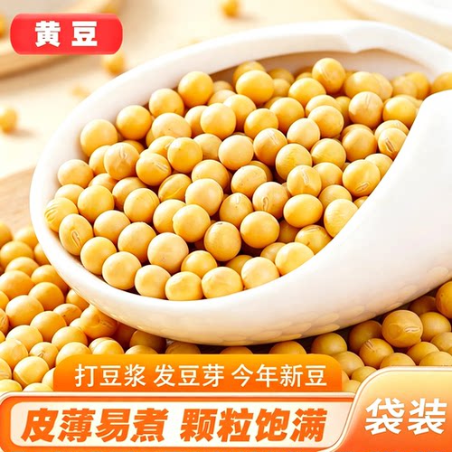 当季豆子黄豆新大豆非转基因早餐打豆浆发豆芽用农家黄豆五谷杂粮