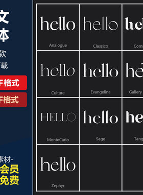 10套经典优雅轻奢酸性衬线杂志海报标题品牌徽标Logo设计英文字体