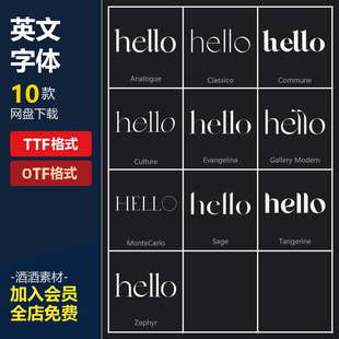 10套经典优雅轻奢酸性衬线杂志海报标题品牌徽标Logo设计英文字体