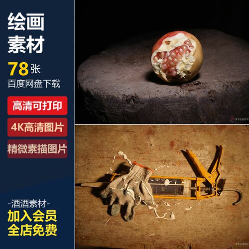 高清精微素描图片集艺用美术绘画参考设计临摹电子版绘画照片素材