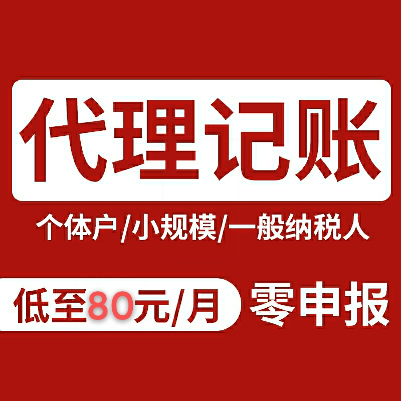 企业 个体 私企 代理记账报税 企业新手会计全程指导