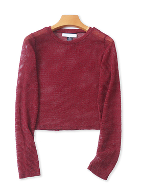 外贸圆领镂空T恤网纱透视短款上衣春夏新款长袖女打底衫罩衫20184