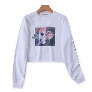 新款 长袖 宽松休闲女套头衫 圆领加绒印花短款 春季 女上衣H 卫衣