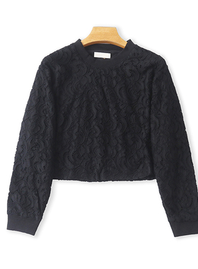 外贸蕾丝钩花长袖T恤衫 春秋新款短款宽松女打底衫显瘦上衣 17234