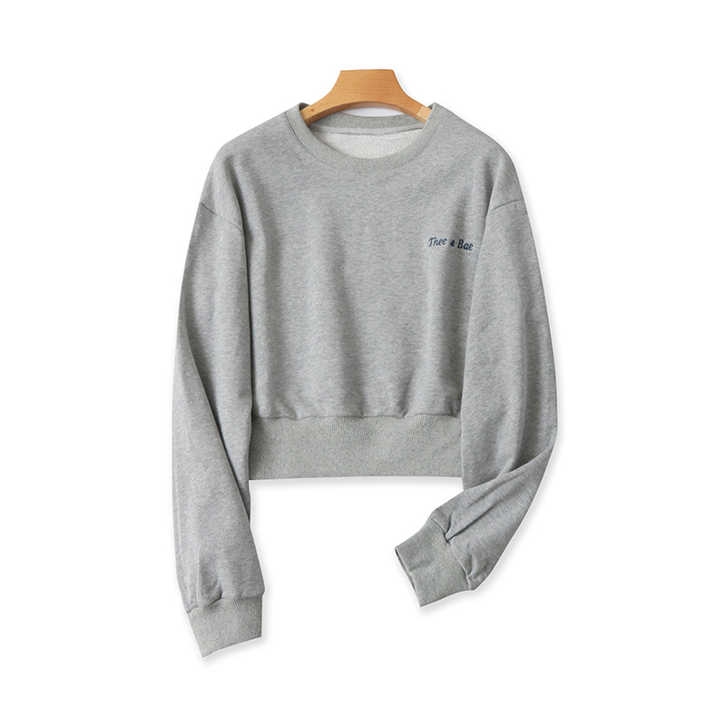 爱丽爱熙毛圈百搭刺绣上衣卫衣