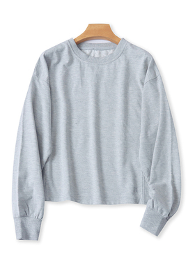 圆领毛圈卫衣 春秋新款外贸宽松休闲套头长袖打底衫女装上衣23514