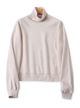 高领加绒刺绣卫衣 春秋新款外贸长袖打底衫女士套头宽松上衣20164