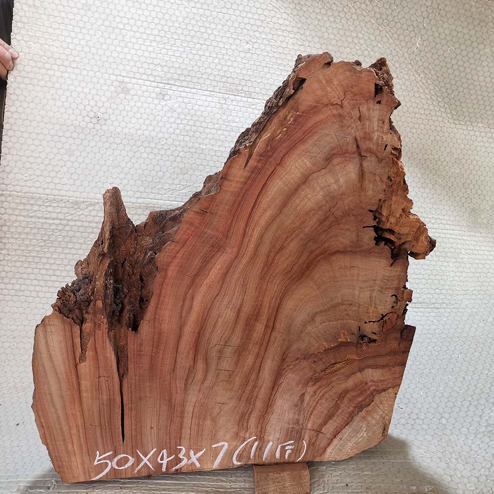 千年老红香樟陈化老料原木切片底座珠子料雕刻料挂件摆件香熏