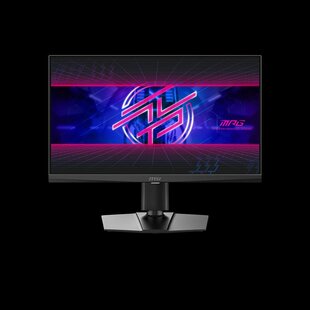 微星24.1英寸FastTN高刷610Hz职业电竞电脑显示器MPG X60N屏 242R