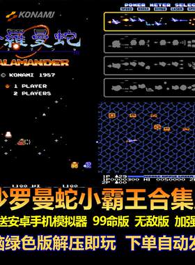 沙罗曼蛇FC红白机合集版