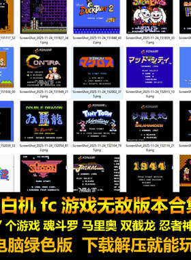 红白机fc游戏无敌版本合集177个游戏魂斗罗 马里奥 双截龙 电脑版