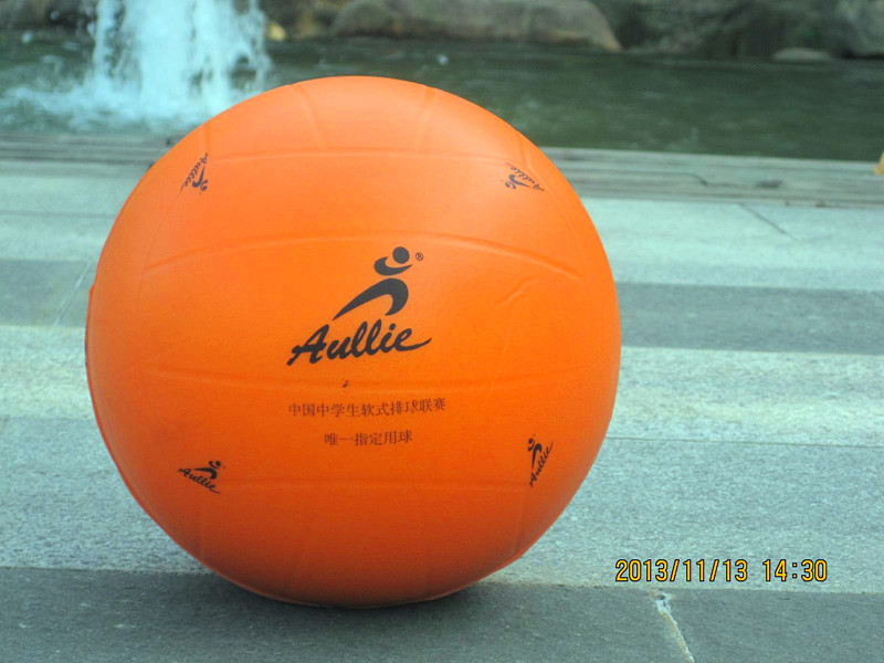 Ballon de volley-ball - Ref 2008446 Image 1