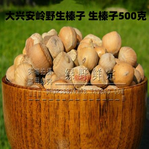 东北特产坚果野生榛子 生榛子 火榛子 不开口 松鼠粮食 500克包邮
