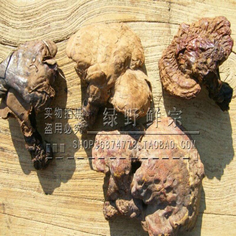 大兴安岭野生灵芝赤灵芝整朵山灵芝 农户自采50g/248元 2件包邮