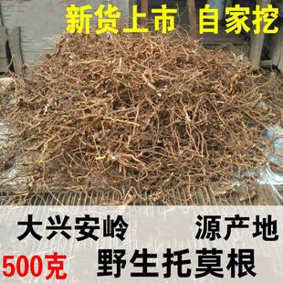 新货大兴安岭野生托莫根500g覆盆子树莓根托摩根泡水茶饮包邮