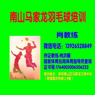 深圳南山马家龙羽毛球馆青少年成人羽毛球培训陪练自带球体验课