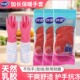 妙洁洗碗手套女冬季 加绒加厚耐用型家用厨房橡胶胶皮防水洗衣衣服