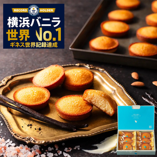 日本yokohama vanilla横滨香草盐费南雪蛋糕点心伴手礼进口零食