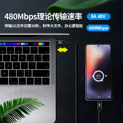 28V5APD3.1线快充数据线48V线