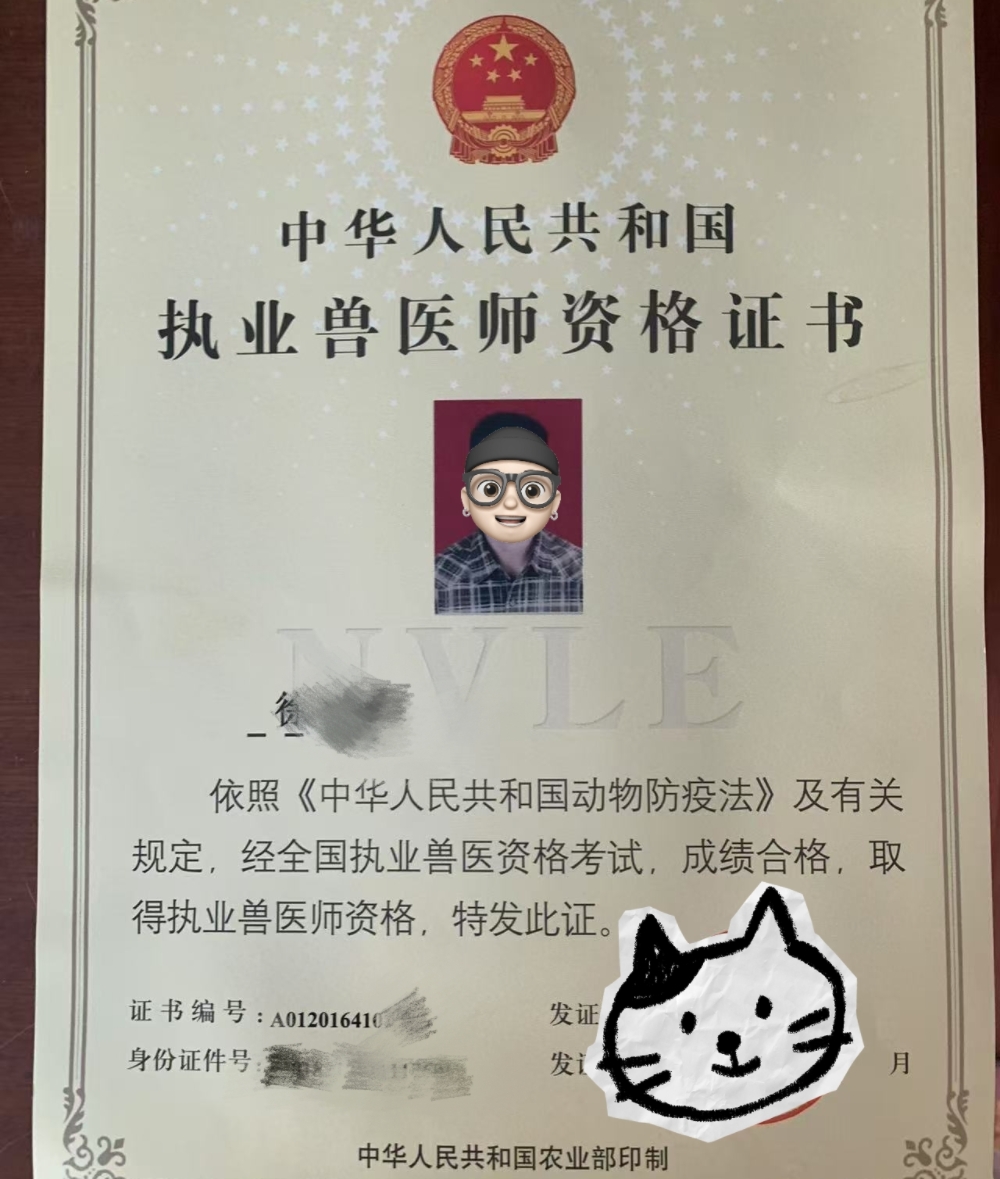 猫咪狗狗宠物咨询兽医师在线答疑判断