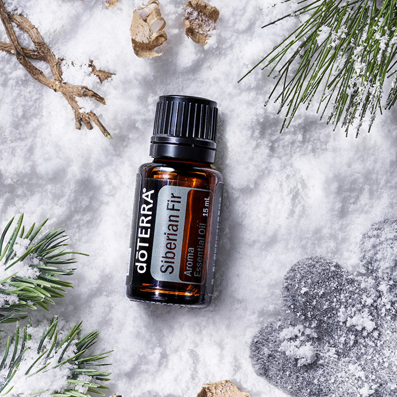 doterra siberian fir 美国多特瑞西伯利亚冷杉单方精油