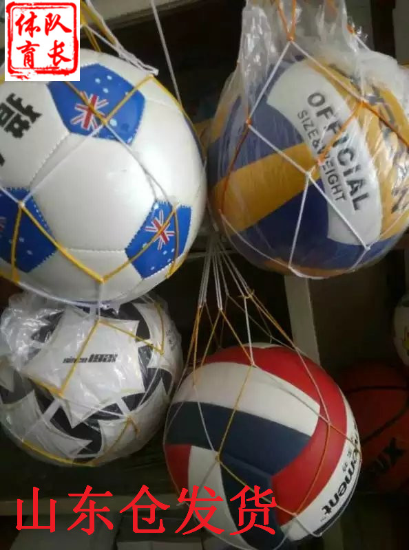 Ballon de volley - Ref 2012862 Image 1