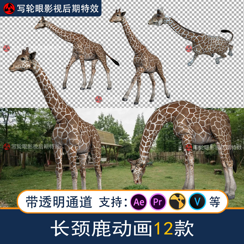 长颈鹿走跑视频素材三维动画合集动物aepr影视全息投影带透明通道