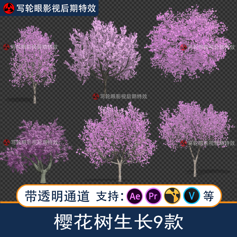 樱花树视频素材树木生长浪漫樱花飞舞复苏动画带透明通道aepr素材