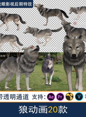 狼群野狼嚎三维动画大全影视特效CG动画素材MOV带透明通道
