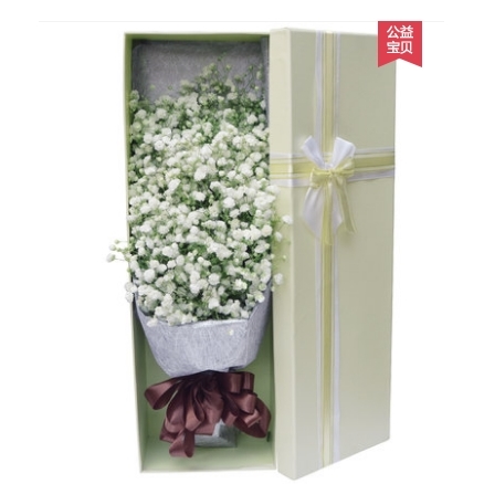 鸡西梨树区梨树镇火车站城子河区兴城广场鲜花店520速递玫瑰