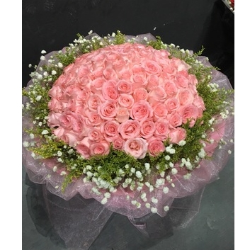 米易县河滨公园县镇府客运中心城北新区安宁河西鲜花店蛋糕店玫瑰