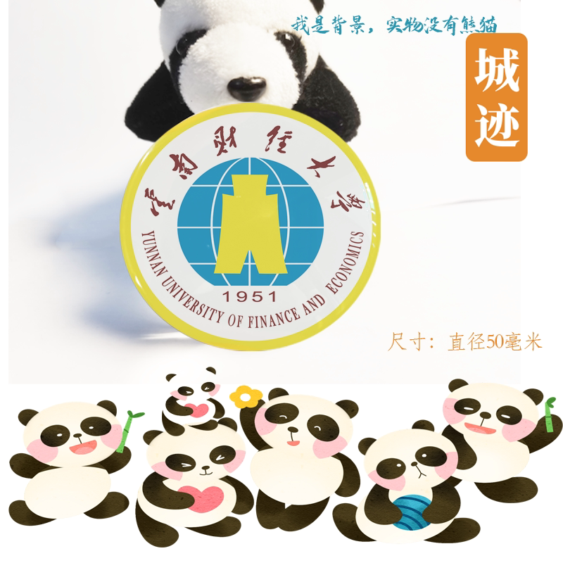 云南财经大学冰箱贴校徽云南财经大学纪念品校友伴手礼磁性贴装饰